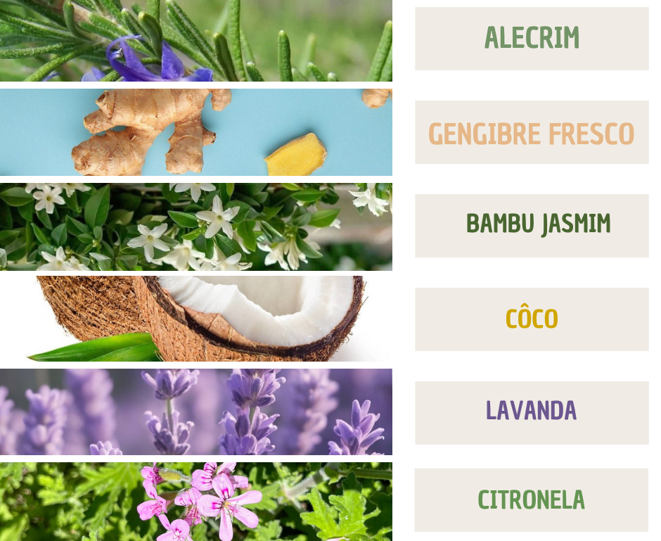 Fragrâncias
